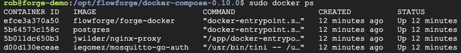 Docker PS output